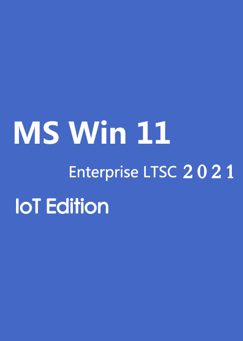 MS Win 11 Enterprise LTSC 2024 IoT Edition CD Key Global