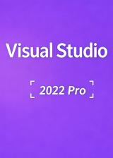 Official MS Visual Studio 2022 Professional CD Key Global