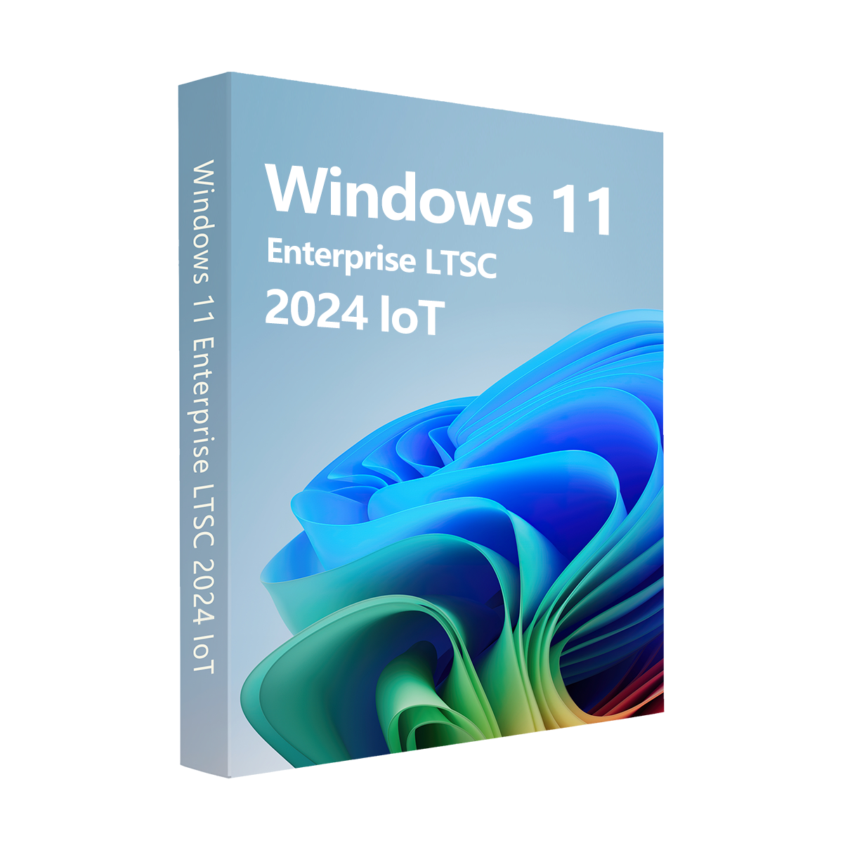 MS Win 11 IoT Enterprise LTSC 2024 Edition CD  Key